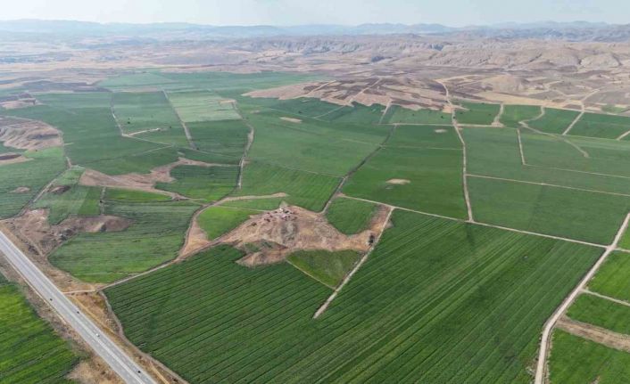 Bozkır yeşerdi, 110 bin dekar alanda yapılan patates ekimi ile 460 bin ton rekolte bekleniyor