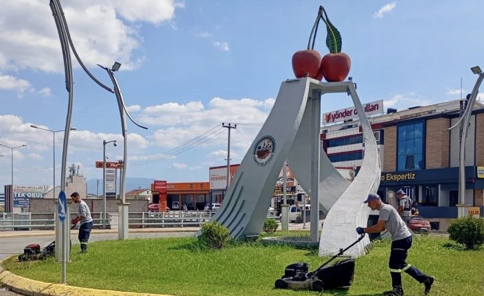 Budanan ot ve ağaç dalları mantar üretiminde kullanılıyor