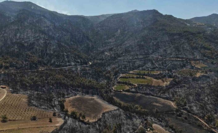Buldan’da zorlu şartları yangına müdahaleyi güçleştiriyor