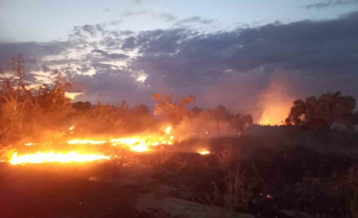 Burdur’da otluk alandaki yangın itfaiye tarafından söndürüldü