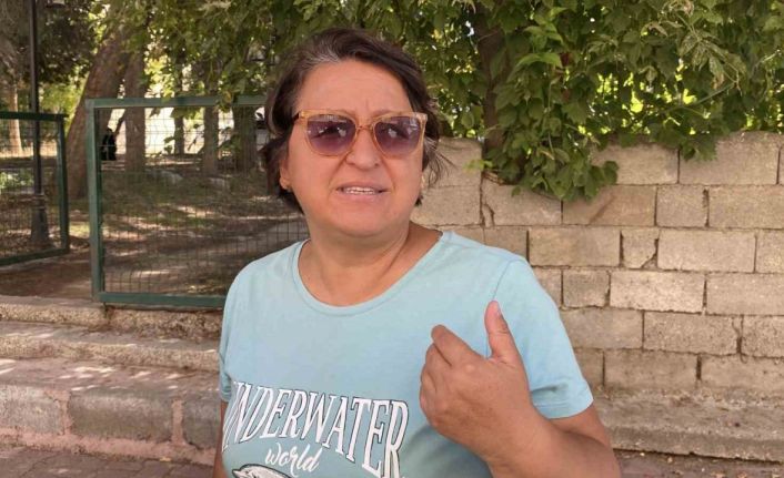 Burdur’da sokak köpeklerinin saldırdığı kadın yaralandı