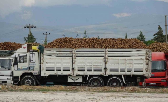 Burdur’da yaklaşık 700 bin ton şeker pancarı işlenecek