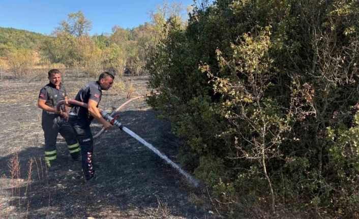 Burdur’daki orman yangını söndürüldü