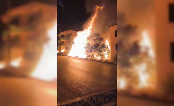 Bursa’da alev alan ağaçlar villaları böyle tehdit etti