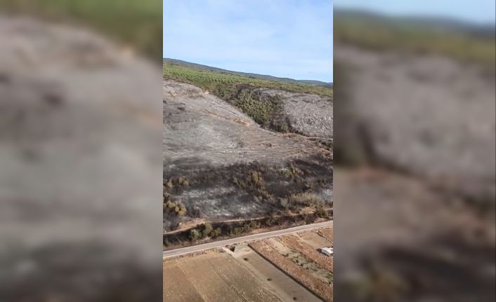 Bursa’da küle dönen ormanlık alan havadan görüntülendi