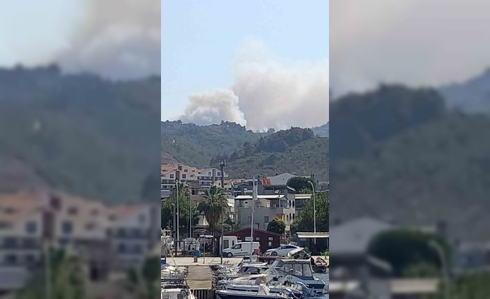 Bursa’da orman yangını