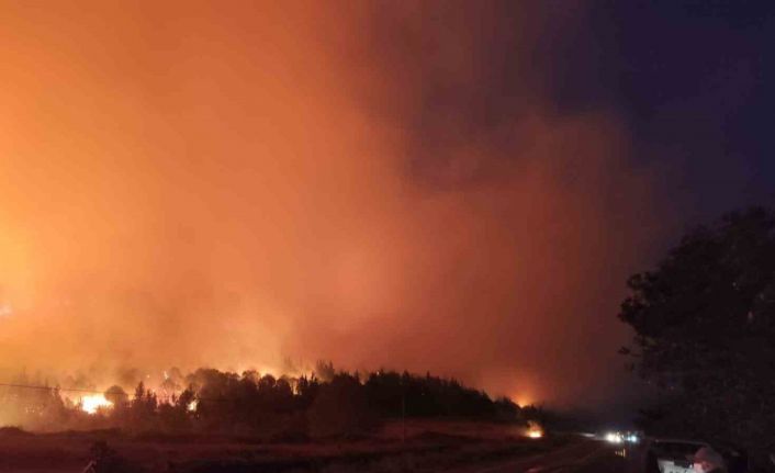 Bursa’da orman yangını...Rüzgarın etkisiyle büyüdü
