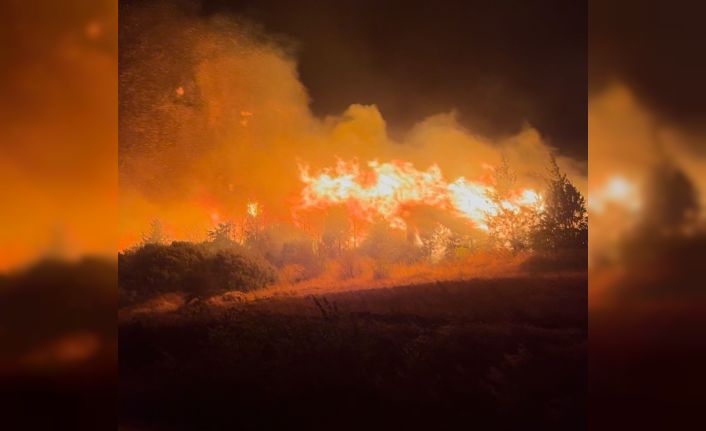 Bursa’daki orman yangını Akçasusurluk köyüne yaklaştı, yerleşim alanları boşaltıldı