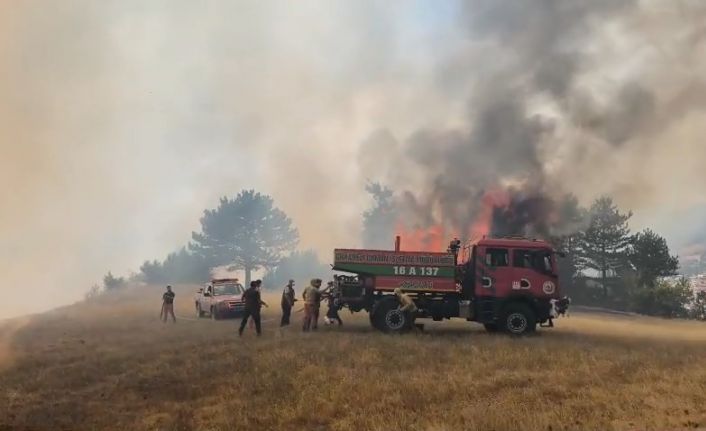 Bursa’daki orman yangını kontrol altına alındı
