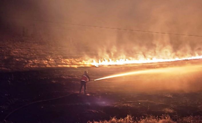 Çaldıran’da anız yangını