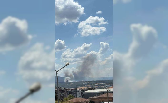 Çanakkale’de orman yangını: 2 okul tahliye edildi