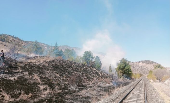 Çankırı’da çıkan ot yangını büyümeden söndürüldü