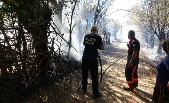 Çöpleri yakmak isterken meyve bahçelerini küle çevirdi