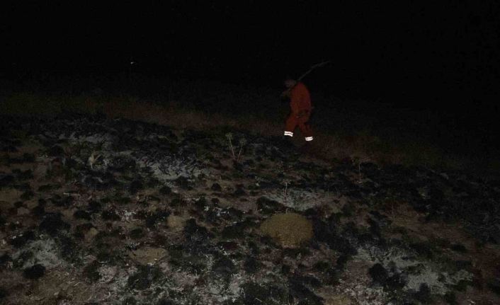 Çorum’da arazi yangının ormana sıçramasını ekipler önledi