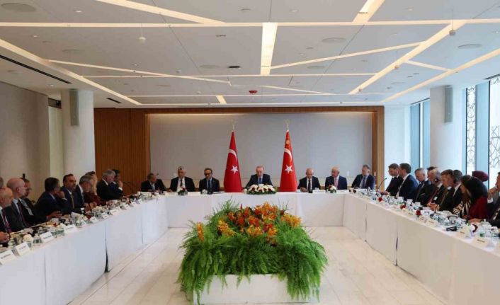 Cumhurbaşkanı Erdoğan, ABD İş Konseyi Başkanı Ulukaya ile görüştü
