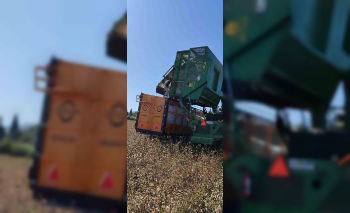 Didim’de pamuk hasat makinelerine denetim