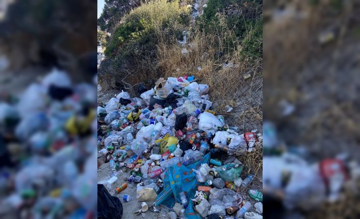 Dikili Belediyesi Pissa Koyu çöplüğe çevrildi