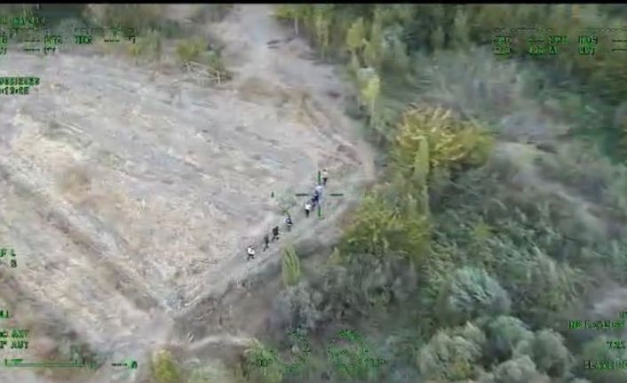 Diyarbakır’da piyasa değeri 1 milyar lira olan 12 bin 865 kök kenevir ele geçirildi