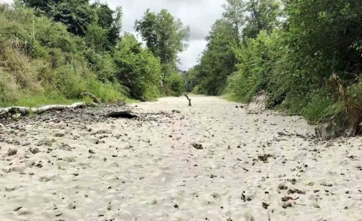 Doğaseverlerin kuruyan gözdesi suya tekrar kavuştu
