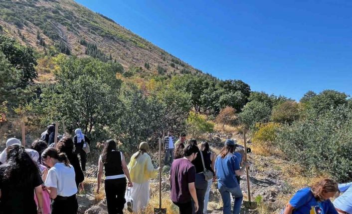 Dünya Eczacılar Günü’nde Ali Dağı’na ’Yeşil Nefes’