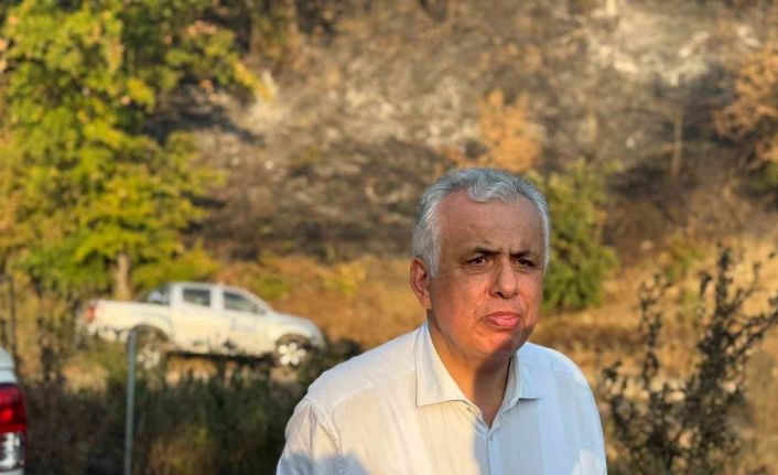 Düzce Vali Vekili Cinbir: "Orman yangını kontrol altına alınmak üzere"