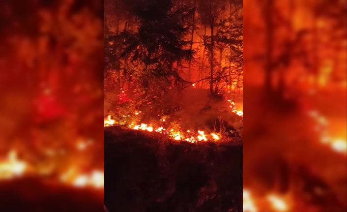 Düzce’de bir bölgede daha orman yangını çıktı