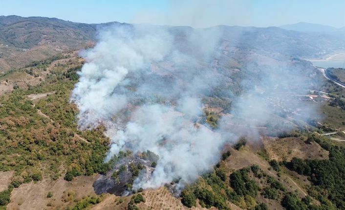Düzce’de orman yangını