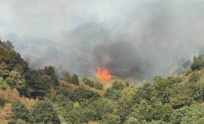 Düzce’de yangının çıkış nedeni araştırılıyor