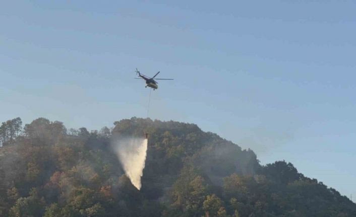 Düzce’deki orman yangını kısmen kontrol altına alındı