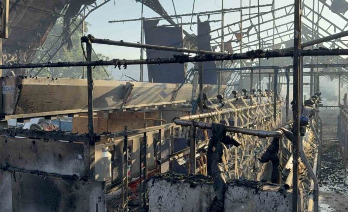 Düzce’deki orman yangınında keçi üretim çiftliği küle döndü