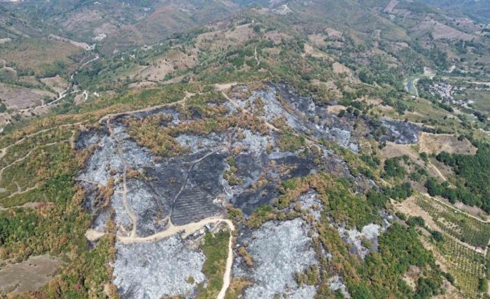 Düzce’deki yangının boyutu havadan görüntülendi