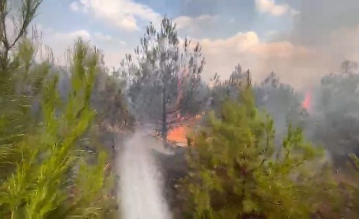 Elazığ’da ormanlık alanda yangın