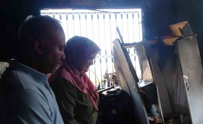 En mutlu günlerinde evleri yakılmıştı: Enkazdan 6 gün sonra yavru kedi çıktı