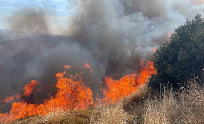 Erdek’te 100 dönümlük alanda yangın