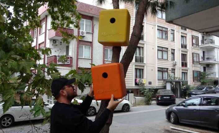 Eski dron çantaları kuş yuvasına dönüştü