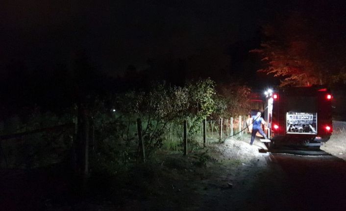 Fındıklıkta yakılan ateş yangına sebep oldu