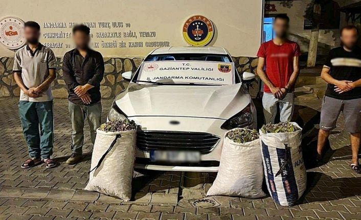 Gaziantep’te hırsızlık şüphelisi 24 şahıs yakalandı