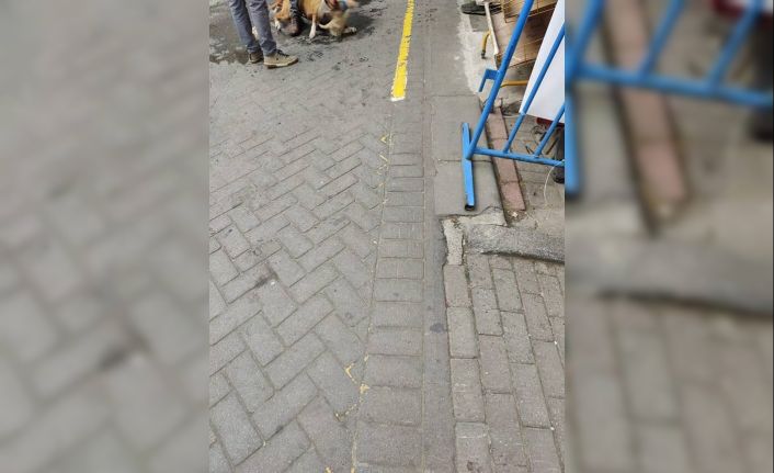Gaziosmanpaşa’da ağızlıksız gezdirilen pitbull başka köpeğe saldırdı