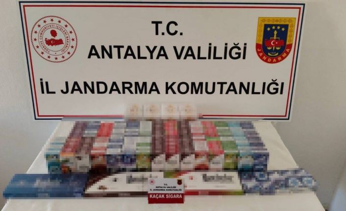 Gazipaşa’da 250 kilo kaçak tütün ve 420 paket kaçak sigara ele geçirildi