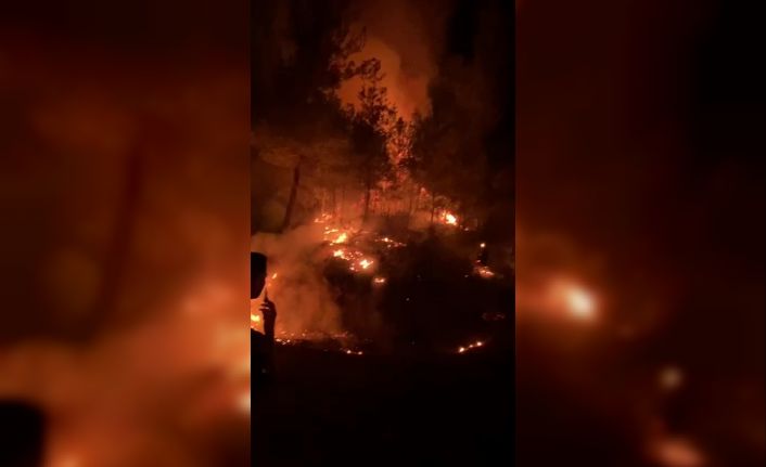 Gazipaşa’da ormanlık alanda yangın
