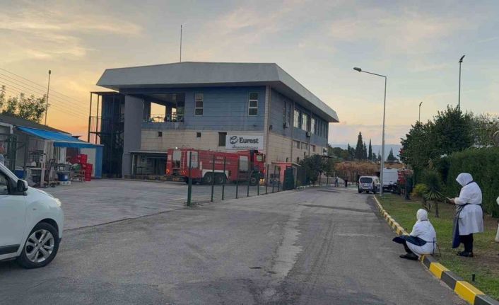 Gemlik Serbest Bölge’de çıkan yangın paniğe neden oldu