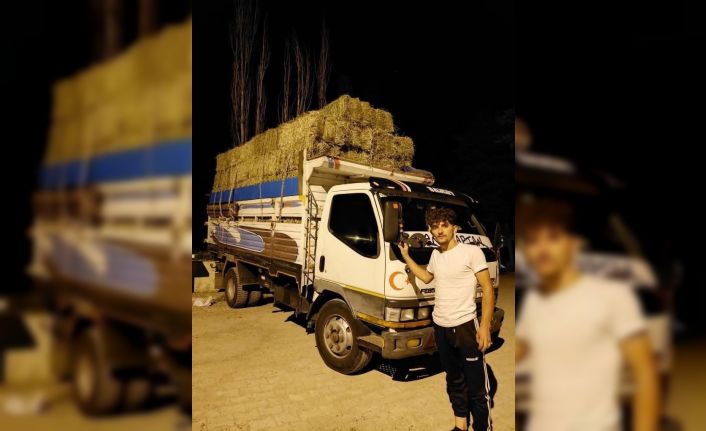 Gümüşhane’deki kazada yaralanan Trabzonlu genç kurtarılamadı