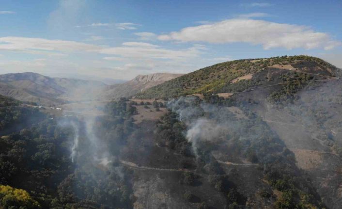 Gümüşhane’deki orman yangınında 30 hektar alan küle döndü