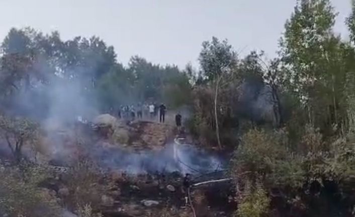 Hakkari’de ormanlık alanda yangın