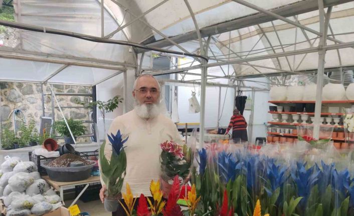 Her şey bir kaktüs ile başladı