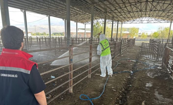 Iğdır’da açılan hayvan pazarı 2 hafta sonra tekrar kapatıldı