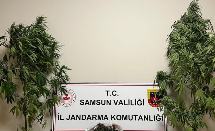 Jandarma 3 kilo 237 gram esrar ele geçirdi