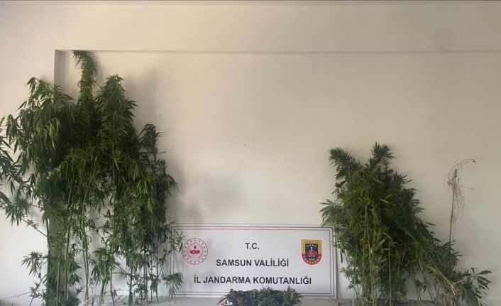 Jandarmadan iki ayrı uyuşturucu operasyonu: 3 gözaltı