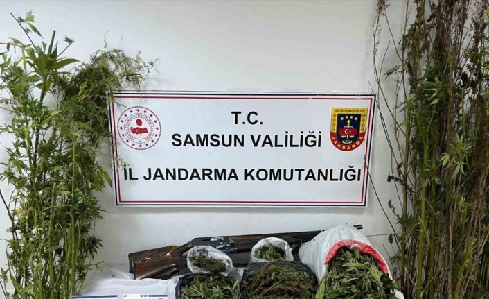 Jandarmadan uyuşturucu operasyonu: Esrar, kenevir ve silah ele geçirildi