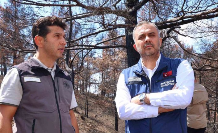 Kahramanmaraş’ta  yanan ormanlık alanlar fidanlarla buluşturulacak